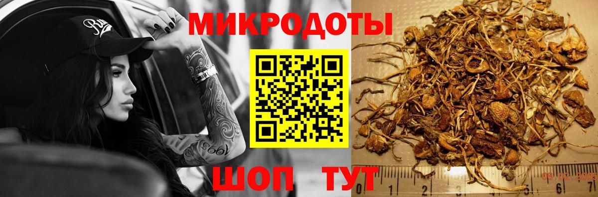 магазин    Вход с VPN  Вольск  Псилоцибиновые грибы MAGIC MUSHROOMS 
